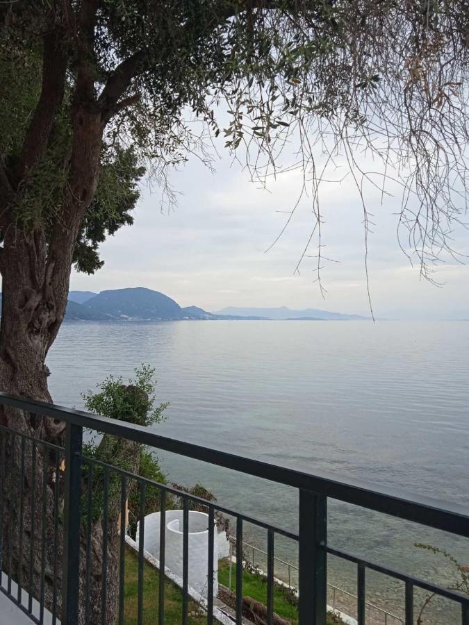 Villa Paul Seafront House Mesongí Exterior foto